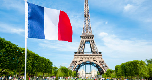 Ingresa a la educación superior en Francia