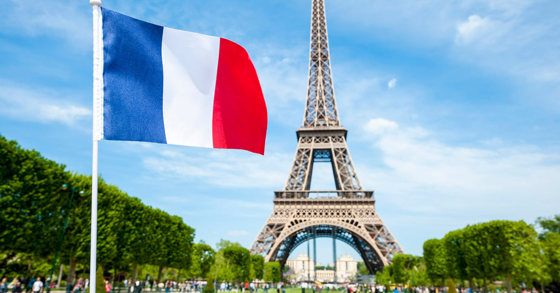 Ingresa a la educación superior en Francia